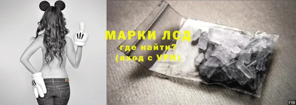 стаф Балахна