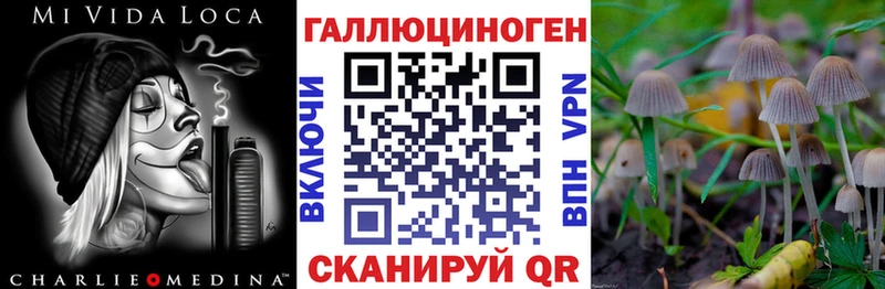 blacksprut вход Бобров Галлюциногенные грибы мухоморы